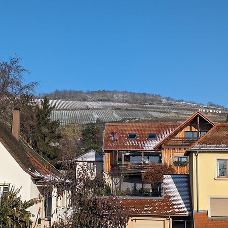 Le Cosy Appartement Marlenheim Buitenkant foto