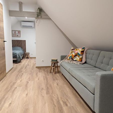Le Cosy Appartement Marlenheim Buitenkant foto