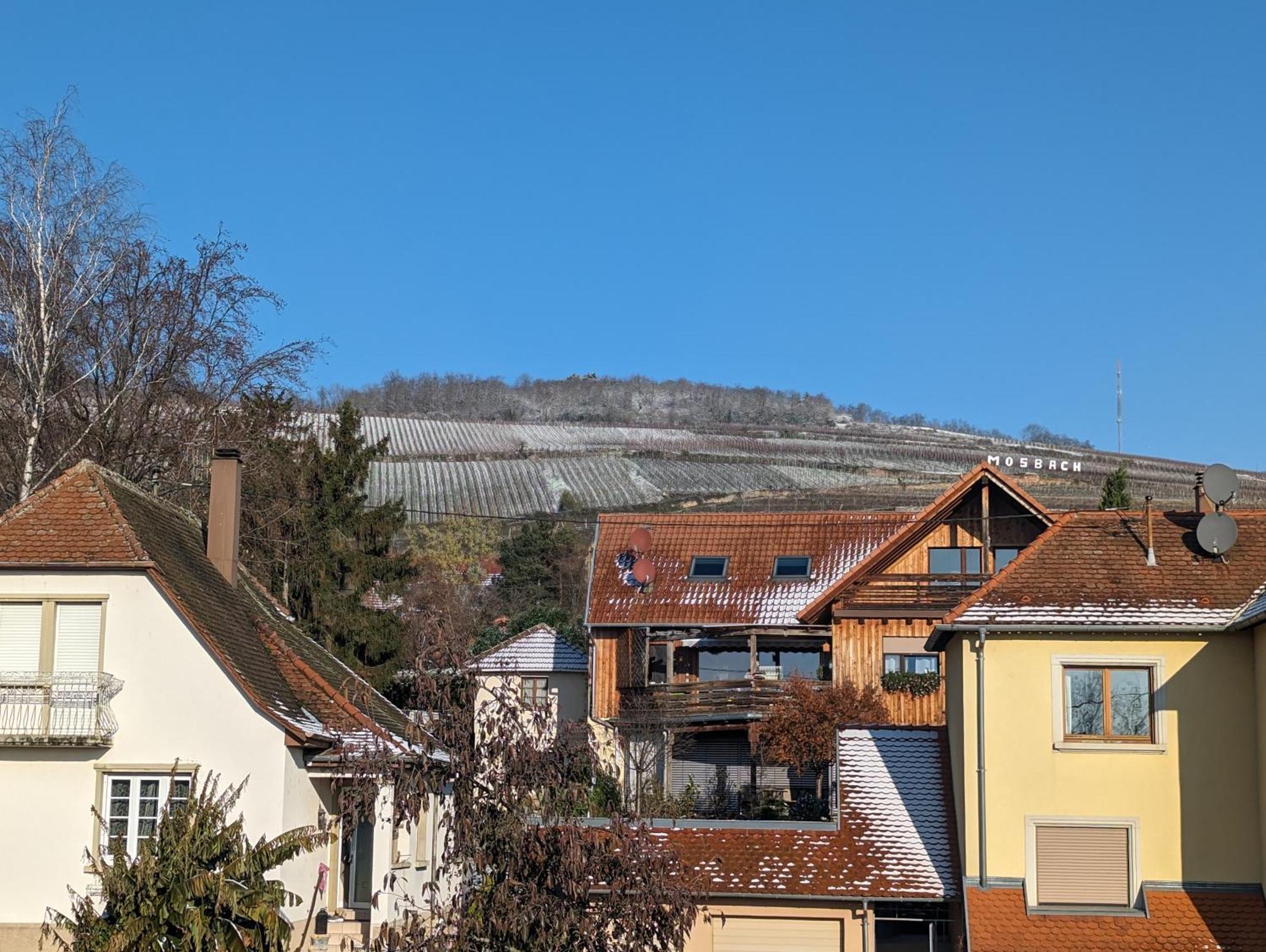 Le Cosy Appartement Marlenheim Buitenkant foto