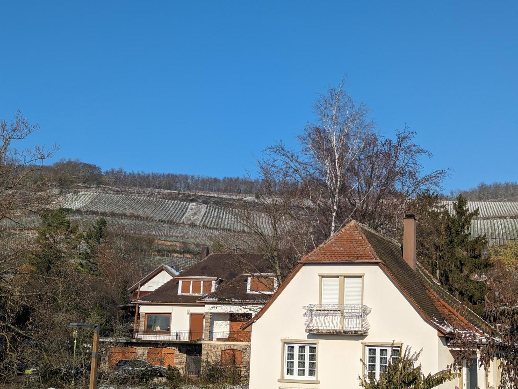 Le Cosy Appartement Marlenheim Buitenkant foto